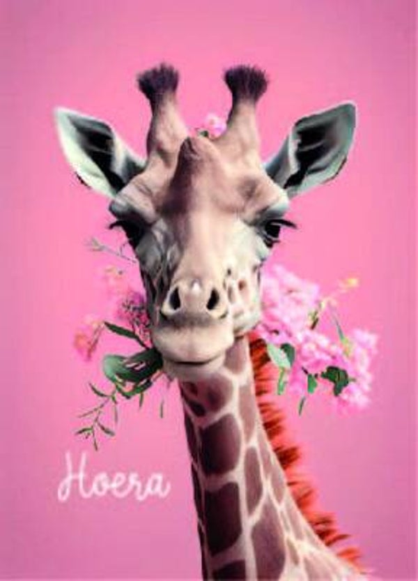 Ansichtkaart  | Giraffe | Hoera