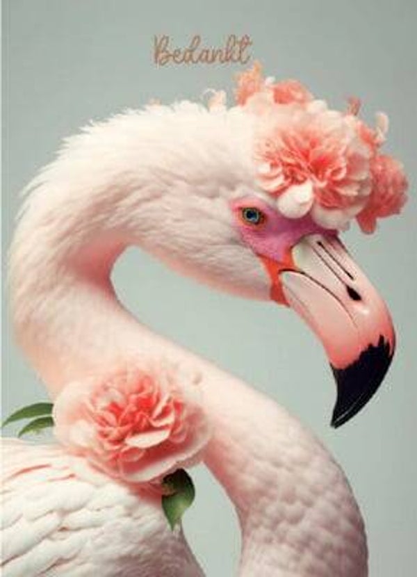Ansichtkaart  | Flamingo | Bedankt