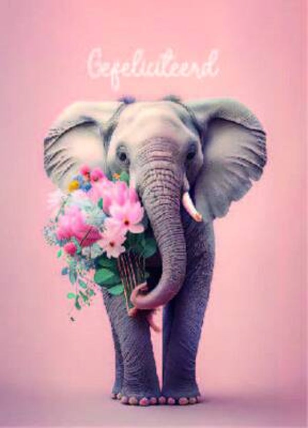 Ansichtkaart | Elephant | Gefeliciteerd