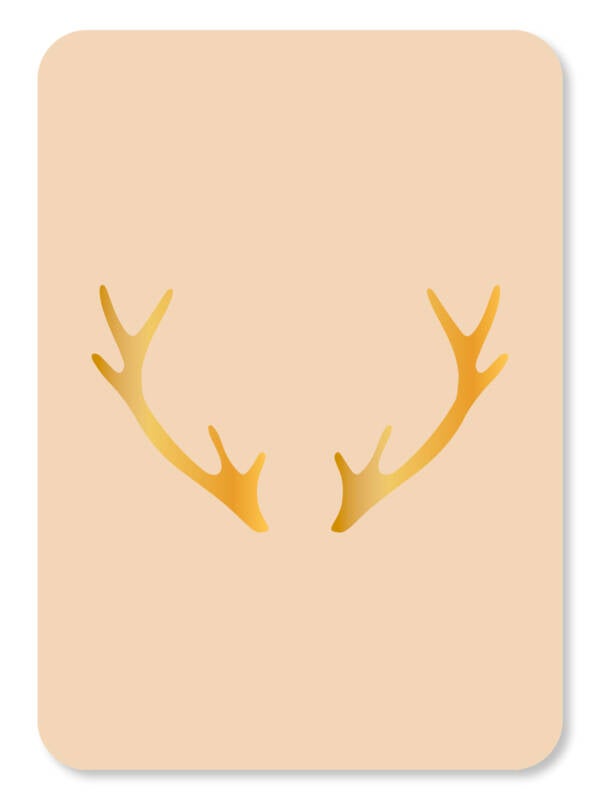 Ansichtkaart | Gewei