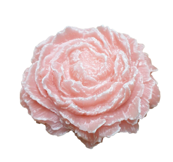 Amberblok Deluxe | Rose | Pink