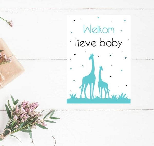 Ansichtkaart | Welkom lieve baby | mint