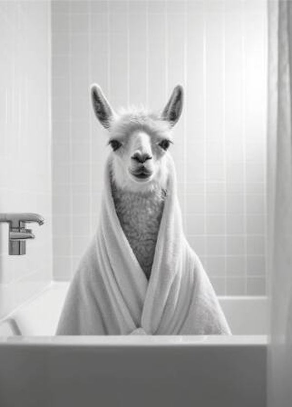 Ansichtkaart  | Ilamam