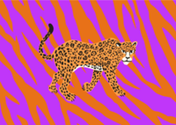 Ansichtkaart | Wild Tiger