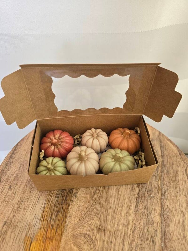 🎃 Herbstzauber – Kürbisbox aus Rapswachs 🍂