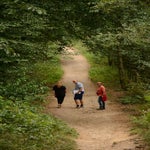 DSC_3955.jpg