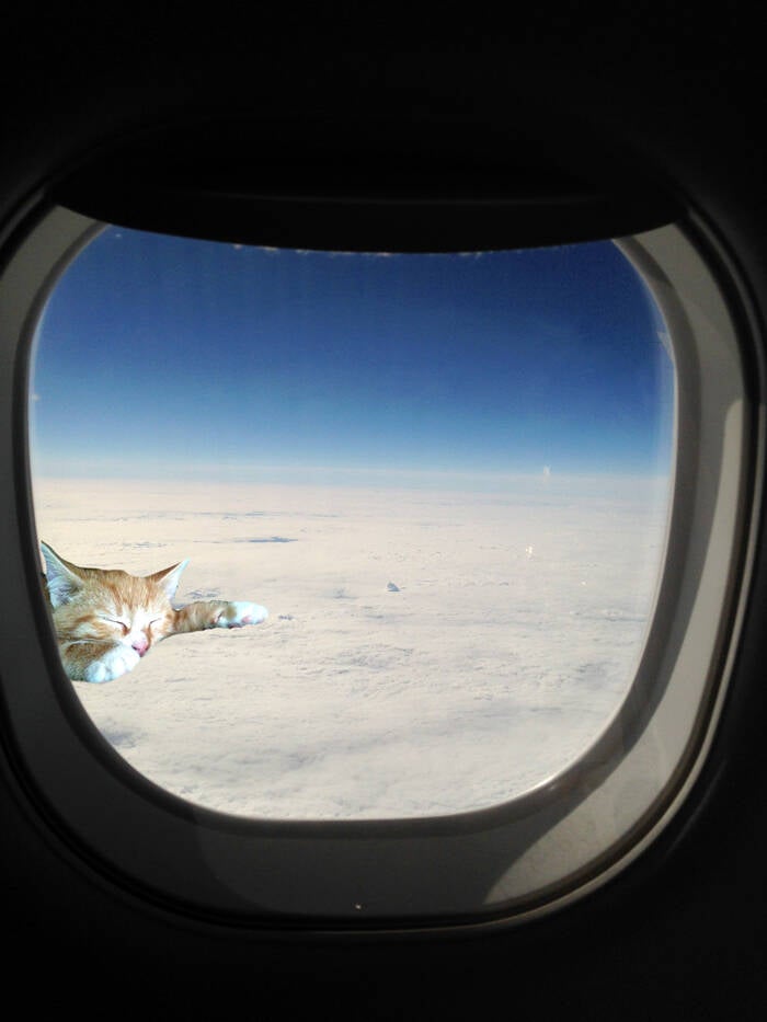 Soulco11 Foto - Uitgeteld