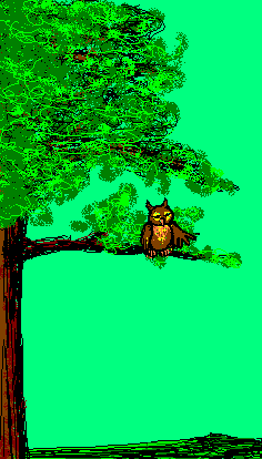 Soulco11  Tekening - Uil in boom uit circusstrip