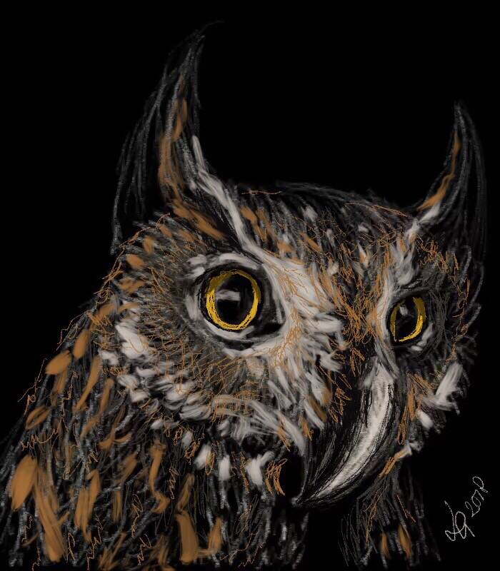 Soulco11  Tekening - uil