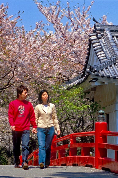Photo Japan Partners