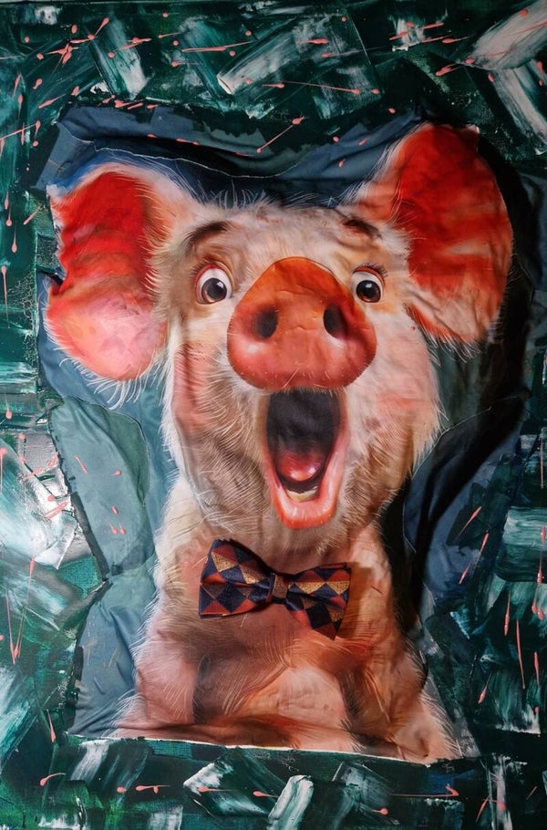 das überraschte Schwein / the surprised pig
