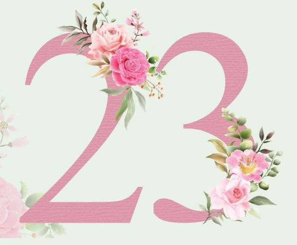 Panier 23