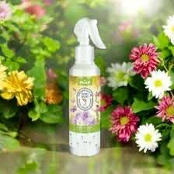 Spray d’intérieur Prady