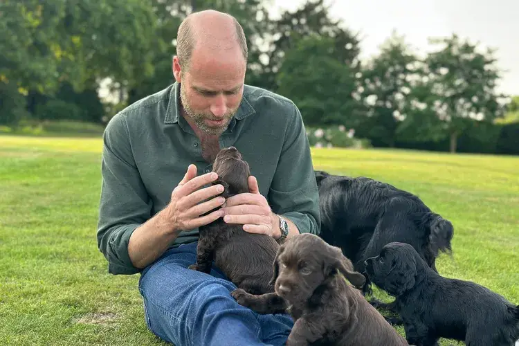 Prince William fête ses 43 ans entouré de chiots : une image intime signée Kate Middleton
