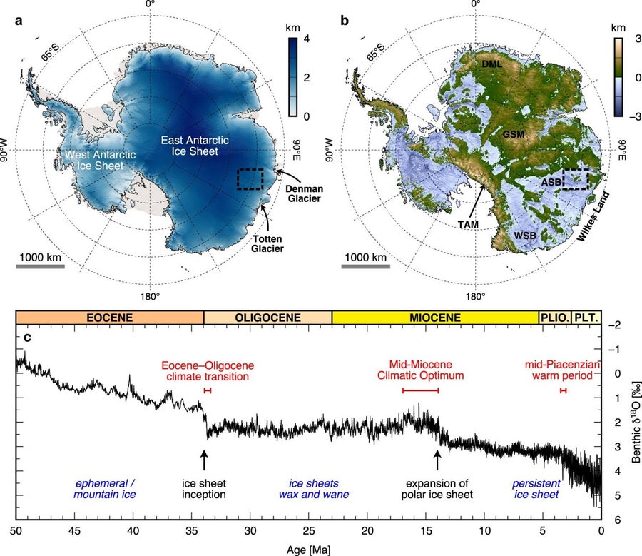 Un monde perdu sous la glace : découverte d’antiques forêts sous l’Antarctique, vieille de 34 millions d’années