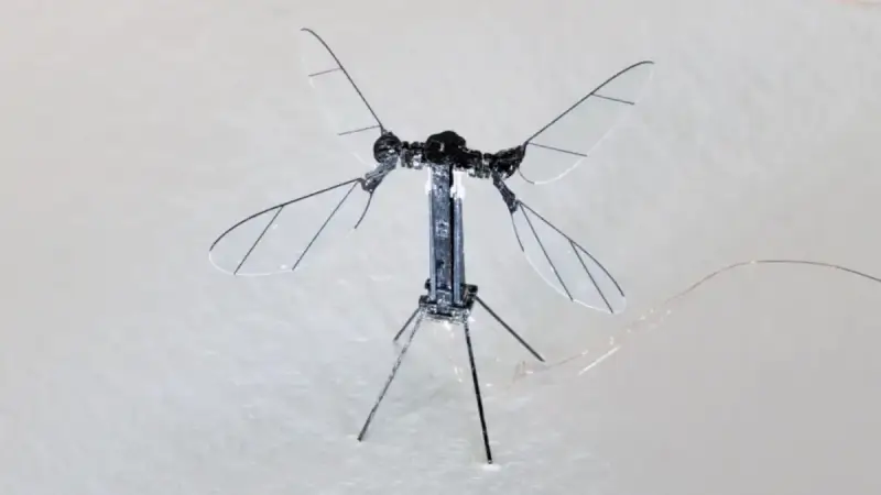 La Chine dévoile un drone espion de la taille d’un moustique : l’arme miniature d’une guerre invisible