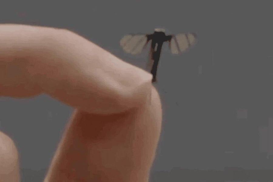 La Chine dévoile un drone espion de la taille d’un moustique : l’arme miniature d’une guerre invisible