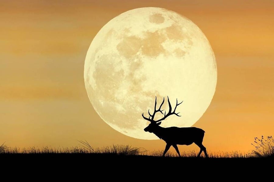 Le "Buck Moon" illuminera le ciel ce 10 juillet 2025 : une pleine lune d’exception entre mythe et astronomie