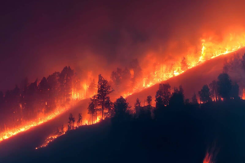 Fermeture de massifs en Provence: Risque incendie élevé sous l'effet du mistral