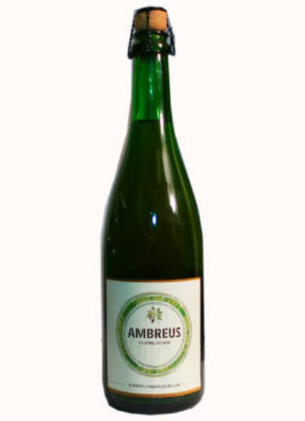 Ambreus: Vlierbloesem 2025 (75cl)
