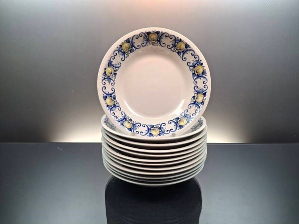 12 Villeroy & Boch porcelain pasta/soup plates “Cadiz”