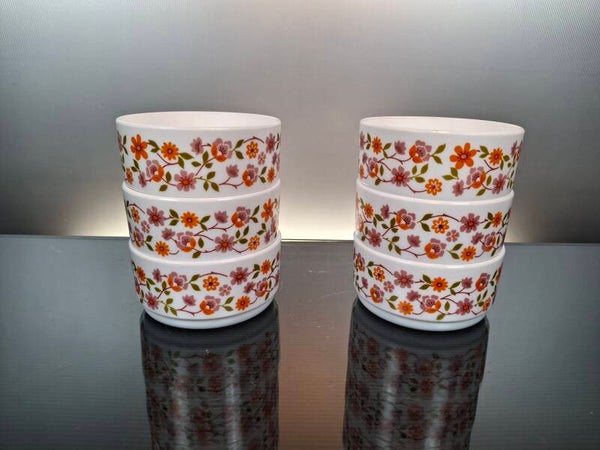 6 Vintage Arcopal serving bowls “Scania”