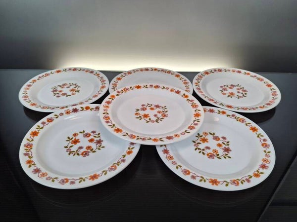 6 Vintage Arcopal dessert plates “Scania”