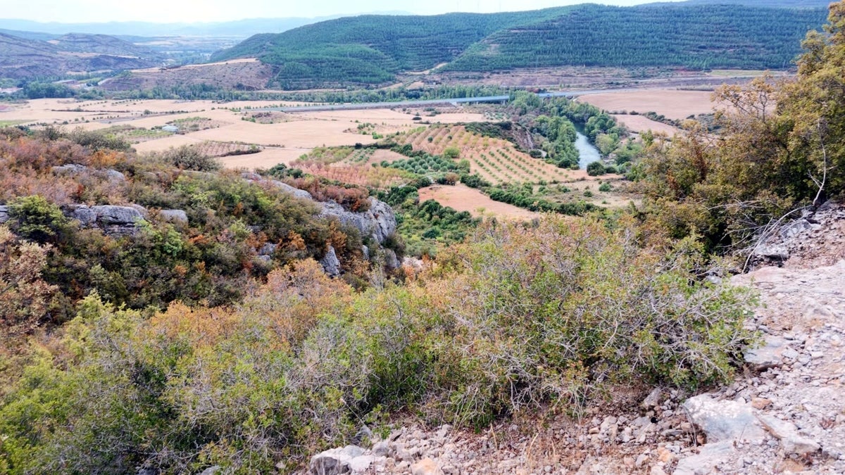 Foz de Lumbier