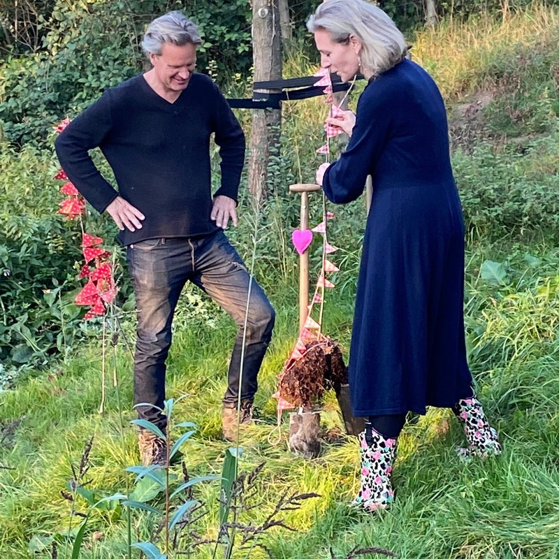 Aanplant vlierbes in de oever
