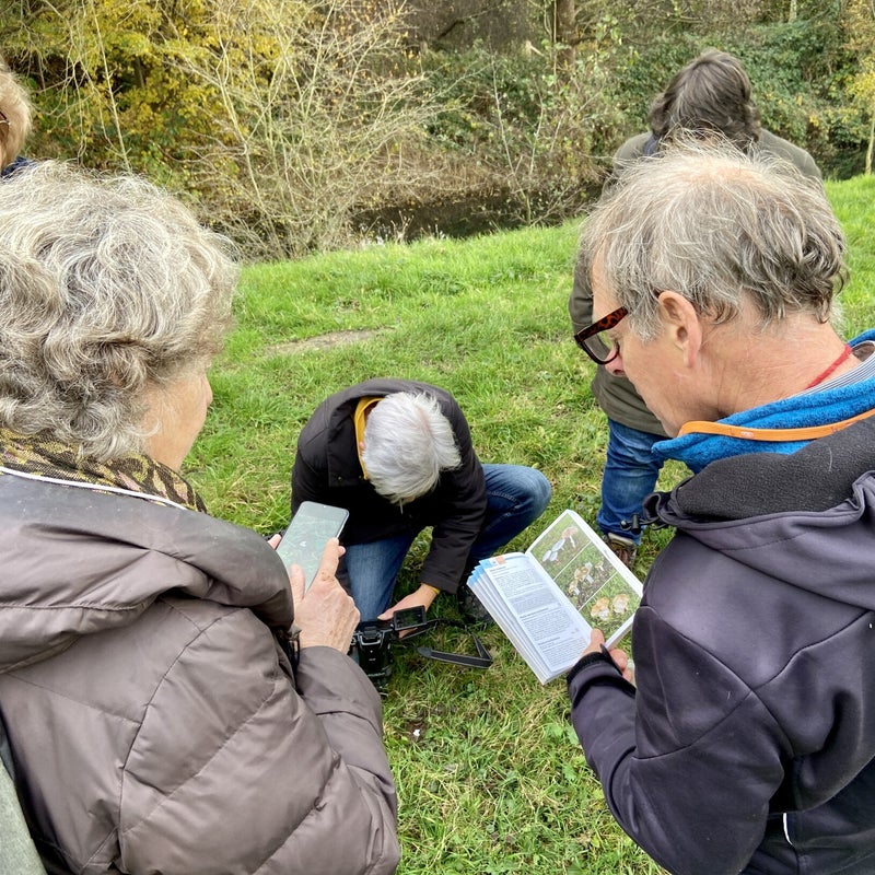 De zwammenbijbel erbij