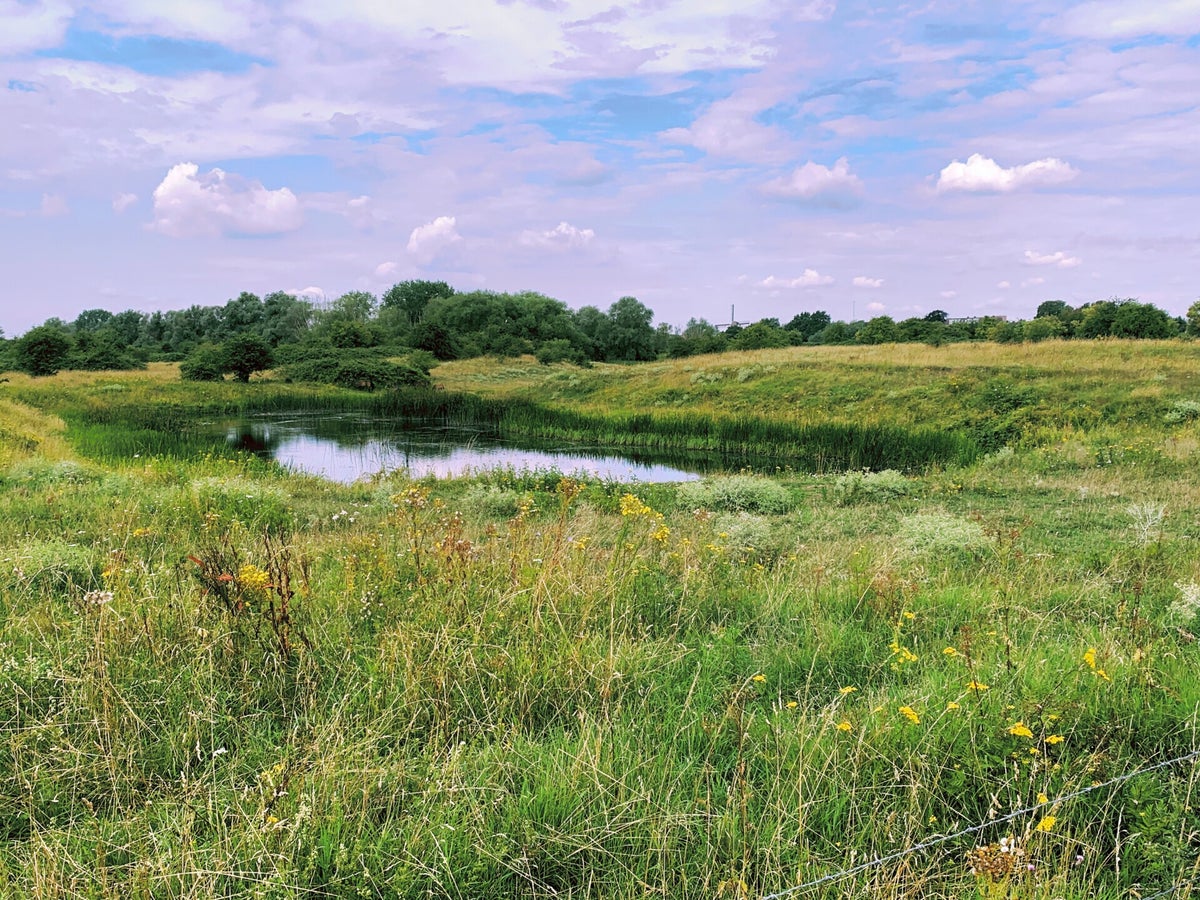 60. Spijk: Waar de Rijn ons land in komt / RIJN | Travelandhike.nl