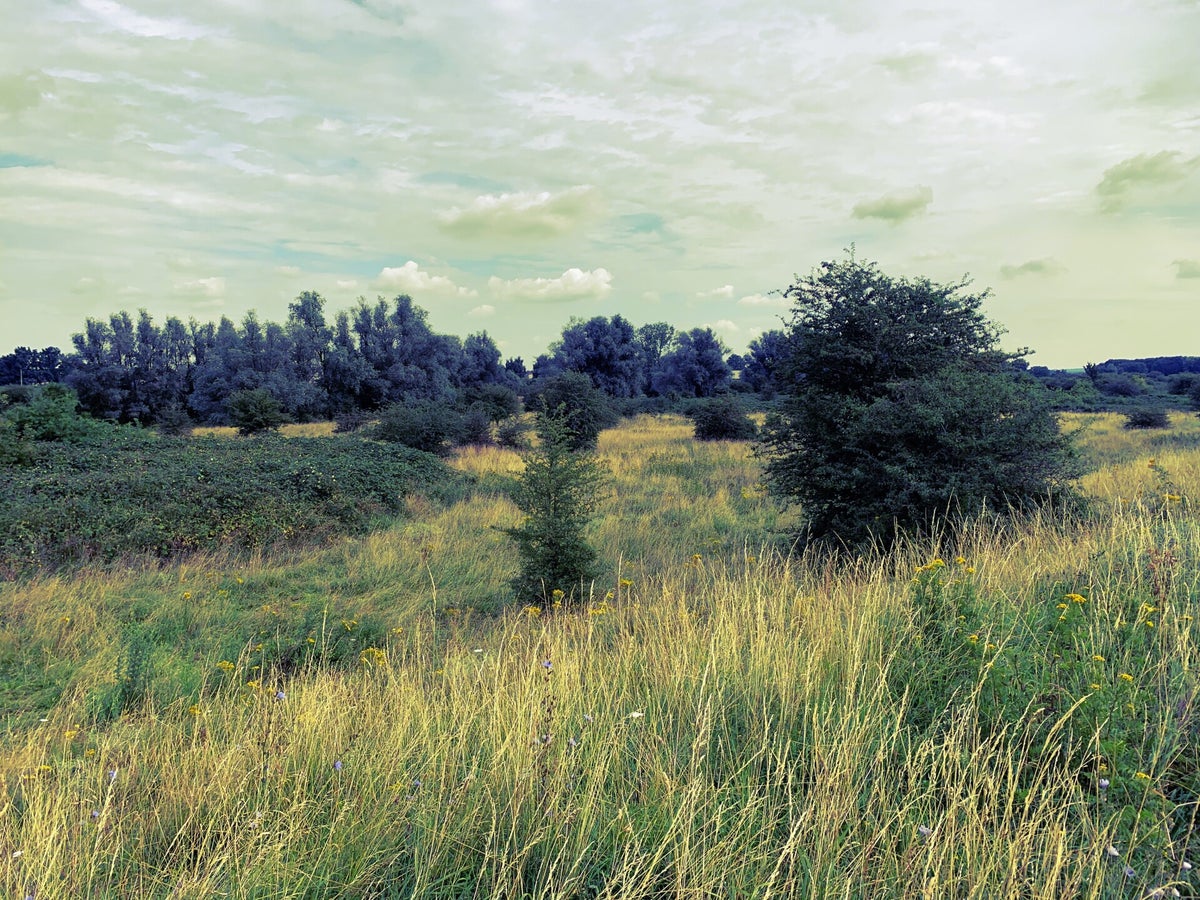 60. Spijk: Waar de Rijn ons land in komt / RIJN | Travelandhike.nl