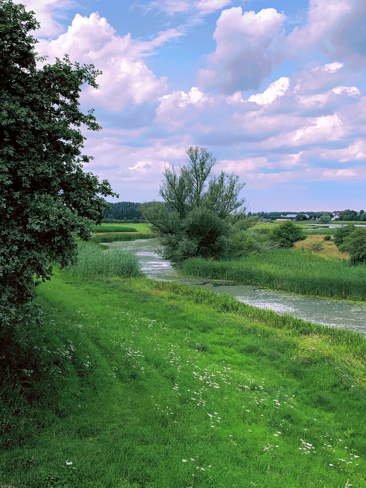 60. Spijk: Waar de Rijn ons land in komt / RIJN | Travelandhike.nl