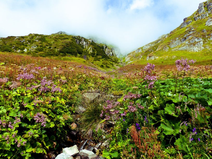 1. Bron van de Rijn / RIJN | Travelandhike.nl
