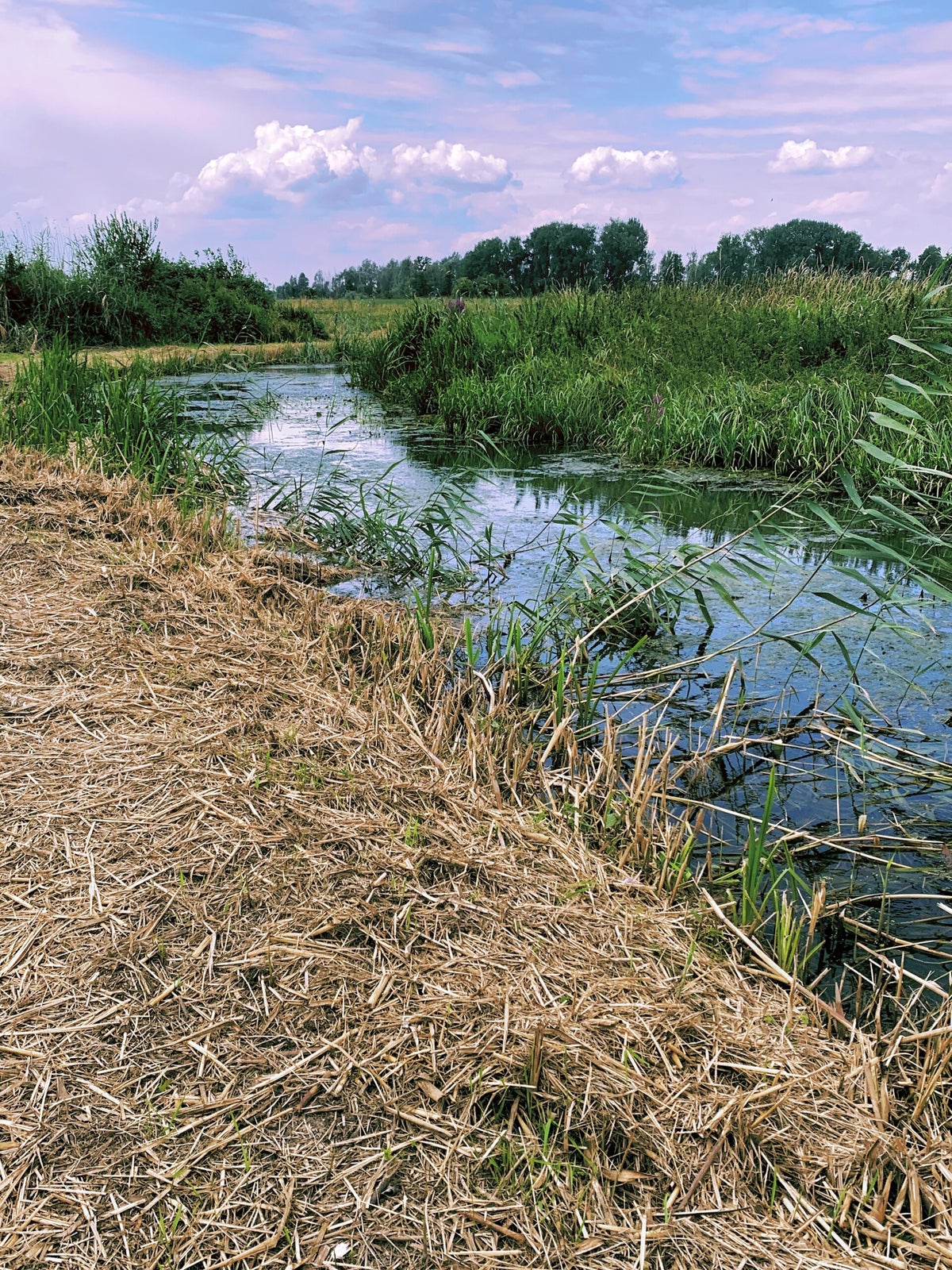 60. Spijk: Waar de Rijn ons land in komt / RIJN | Travelandhike.nl