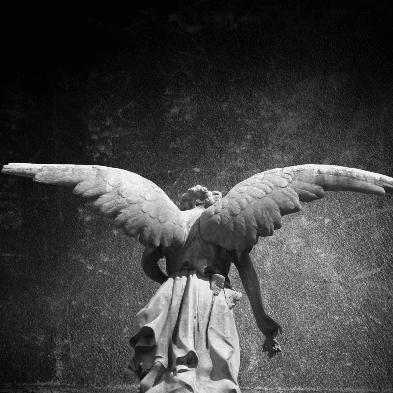 un ángel de espaldas con sus alas extendidas