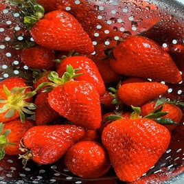 qda-strawberries-standard.jpg