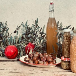 qda-walnuts-standard.jpg