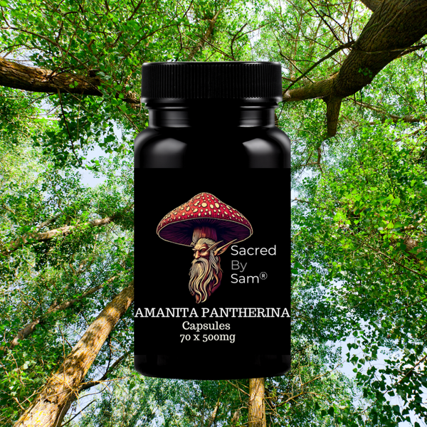 Incense Capsules 1 Month Supply P
