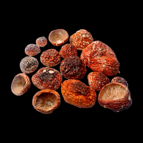 Potpourri A Lithuanian