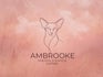 Ambrooke Oriental and Siamese cattery