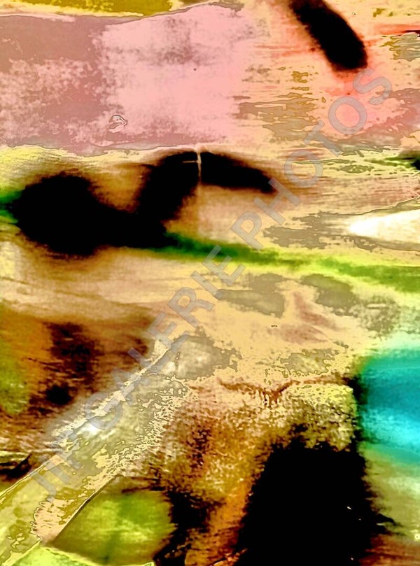 Oiseau