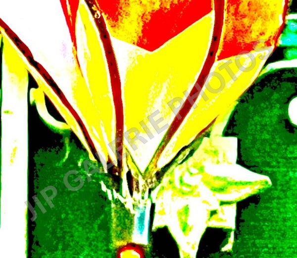 Parachute