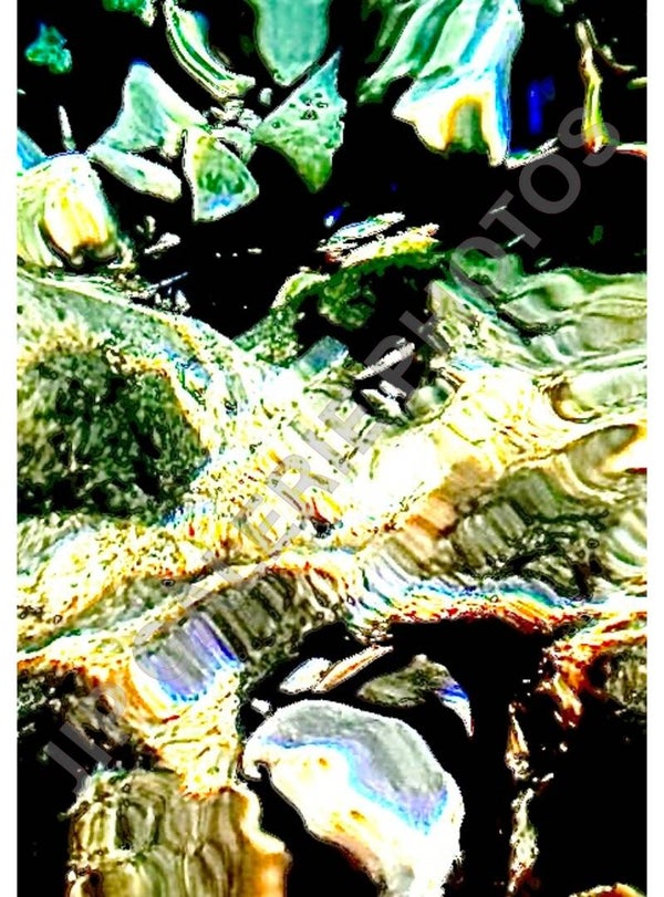 Sous-marine