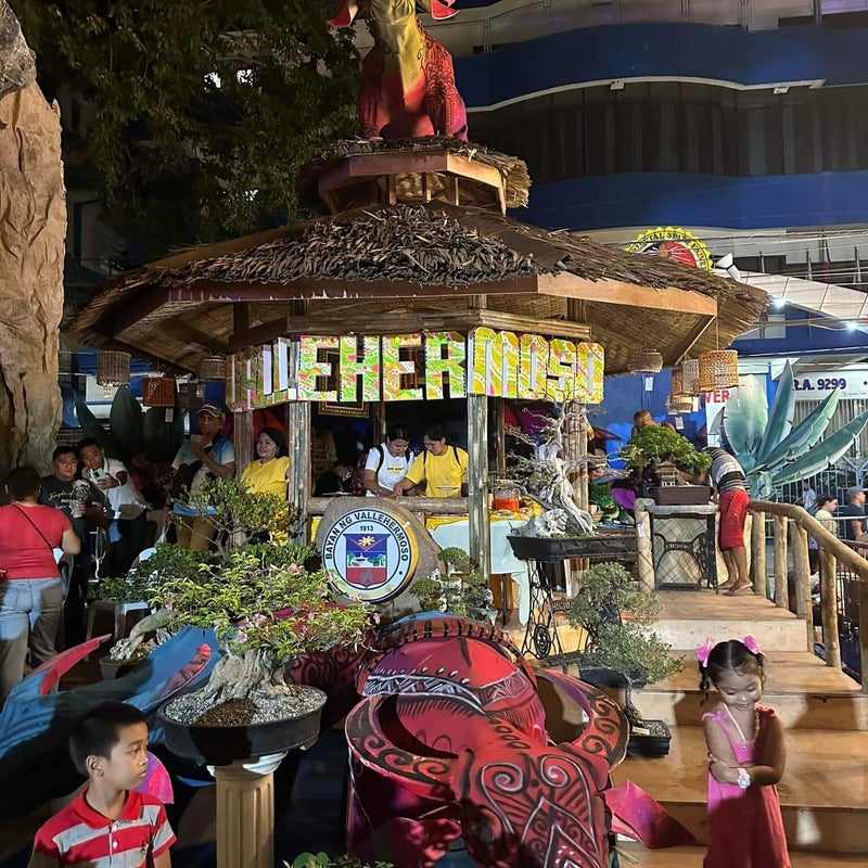 Vallehermoso