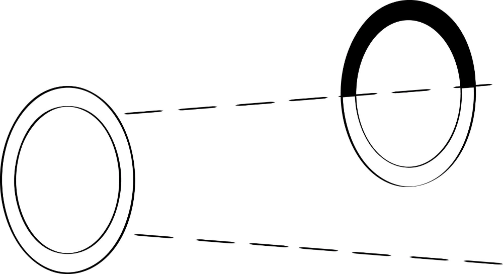 Coaching for Scientists, Wissenschaftscoaching