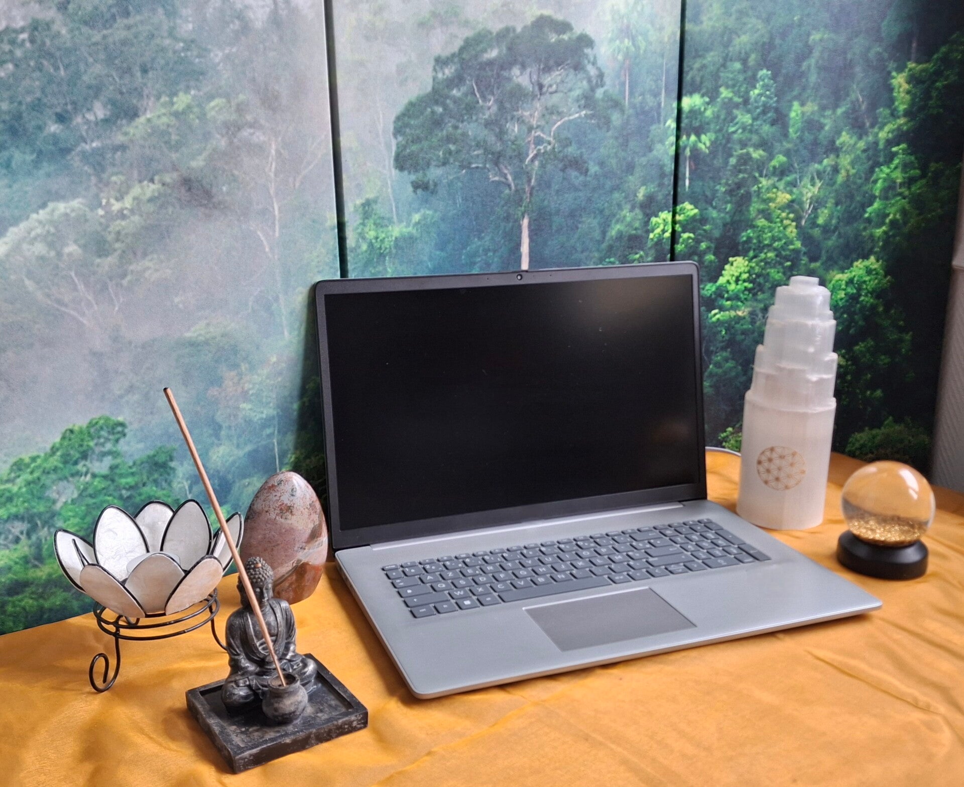 séance de scan bioénergétique ou coaching PDM en visio 