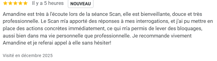 avis séance en ligne scan bioénergétique et coaching
