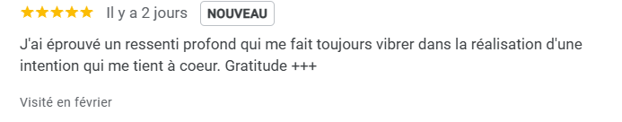 avis séance en ligne scan bioénergétique et coaching rouen