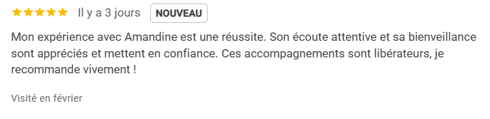 avis séance en ligne scan bioénergétique et coaching rouen